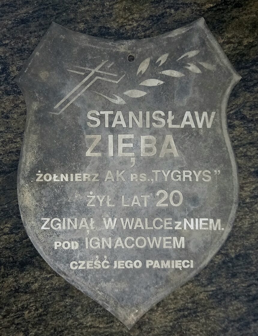 blaszana_tablica_Tygrys.jpg